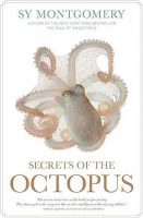 Secrets of the Octopus Jacket Cover